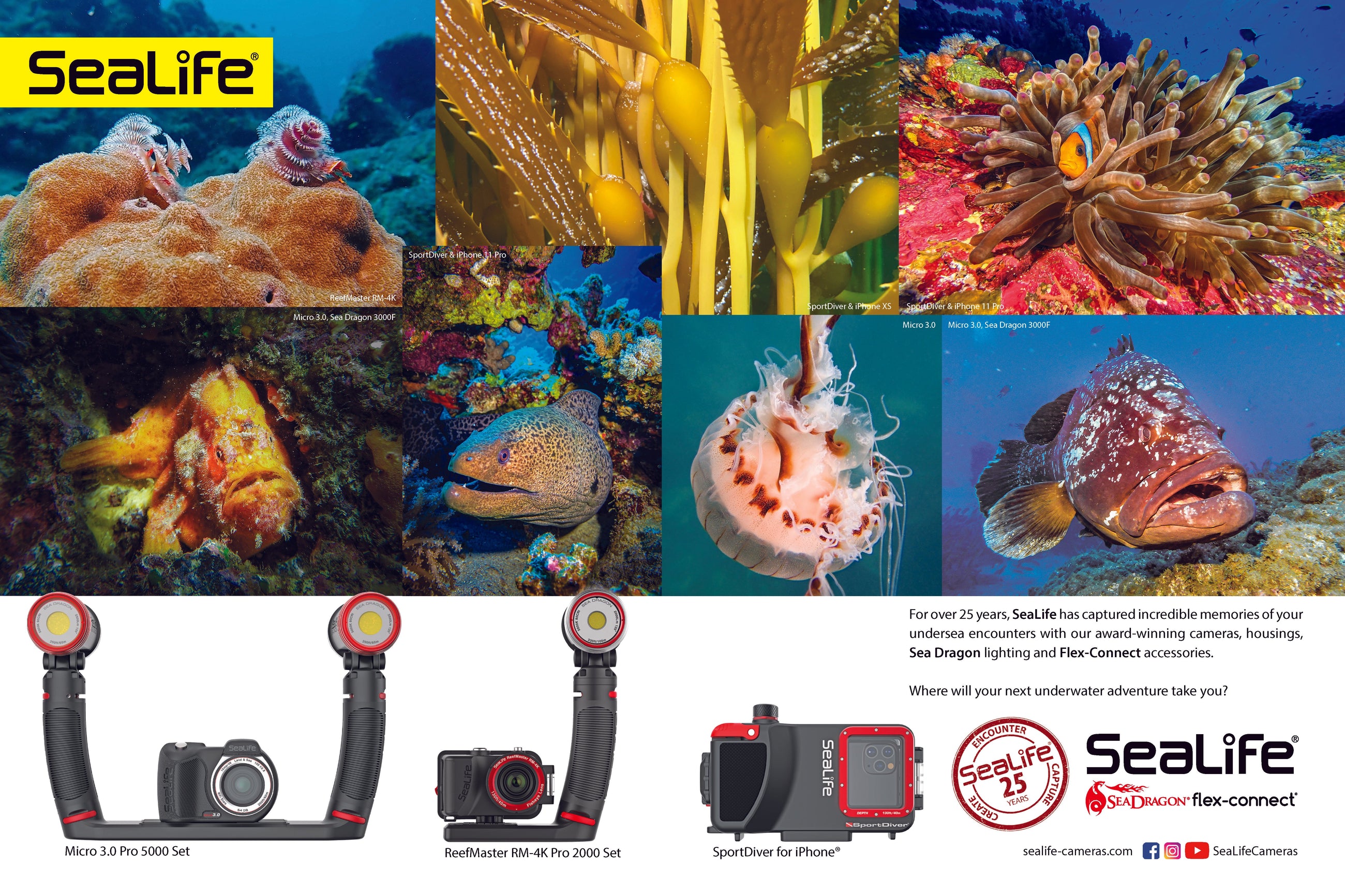 Sealife Cameras